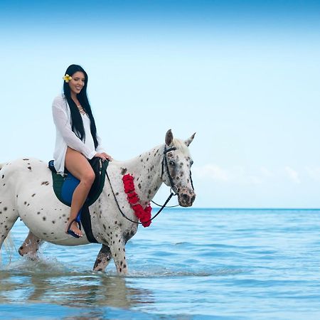 منتجع وسبا سي كليف Zanzibar المظهر الخارجي الصورة